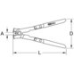 KSTOOLS® - Klemmzange mit Ohrniederhalter, 260mm