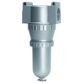 RIEGLER® - Filter »Standard«, mit Metallbehälter, 5 µm, BG 1, G 1/4"