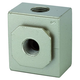 RIEGLER® - Verteiler »G«, mit 2 Abgängen, BG 300, G 1/4", PE 0-9 bar