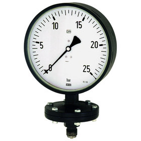 RIEGLER® - Plattenfedermanometer, Robust., G 1/2" radial unten, 0-6,0 bar, Ø 100mm